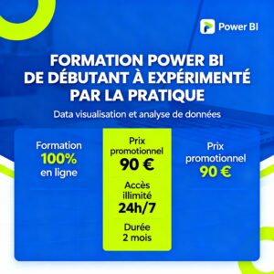 POWER BI, DE DÉBUTANT À EXPÉRIMENTÉ PAR LA PRATIQUE